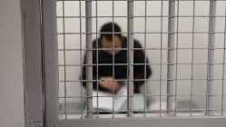 Il vole une tablette g&eacute;olocalis&eacute;e et conduit les enqu&ecirc;teurs jusqu&rsquo;&agrave; son domicile : 18 mois de prison ferme
