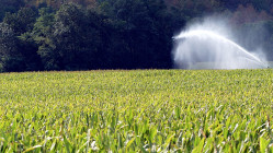 Pollution aux nitrates : 1 808 communes du bassin Rh&ocirc;ne-M&eacute;diterran&eacute;e soumises &agrave; de nouvelles r&egrave;gles