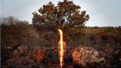 Biennale de Lyon : la Fondation Bullukian transforme l&rsquo;&eacute;cologie en terrain de r&eacute;sistance artistique