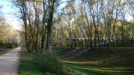 Tempête Benjamin : les jardins et les parcs de Villeurbanne resteront fermés jeudi Tempête Benjamin : les jardins et les parcs de Villeurbanne resteront fermés jeudi