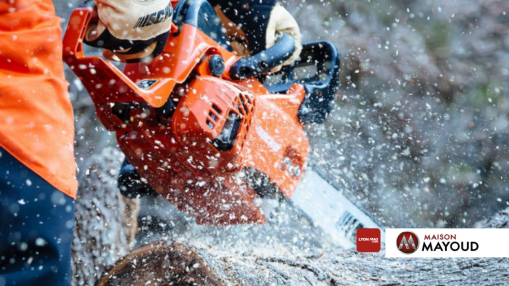 Besoin d’un entretien hivernal pour vos appareils de tonte ? Découvrez les forfaits Maison Mayoud ! Besoin d’un entretien hivernal pour vos appareils de tonte ? Découvrez les forfaits Maison Mayoud !