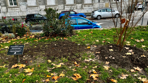 L'olivier planté sans autorisation enlevé par la mairie de Lyon : qui veut absolument rendre un contre-hommage à Ilan Halimi ? L'olivier planté sans autorisation enlevé par la mairie de Lyon : qui veut absolument rendre un contre-hommage à Ilan Halimi ?