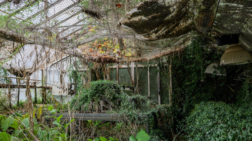 Loto du Patrimoine 2025 : la dotation pour les petites serres du Parc de la Tête d’Or de Lyon dévoilée Loto du Patrimoine 2025 : la dotation pour les petites serres du Parc de la Tête d’Or de Lyon dévoilée