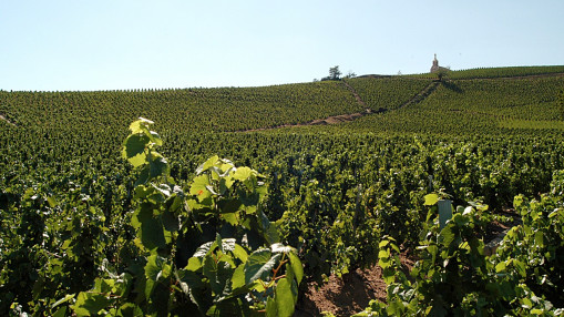 Le un-contre-un entre lyc&eacute;ens se termine en lynchage dans un champ du Beaujolais : 18 mois de prison ferme prononc&eacute;s