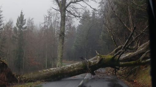 Jusqu&rsquo;&agrave; 148 km/h : la temp&ecirc;te Nils secoue le Rh&ocirc;ne et provoque des dizaines d&rsquo;incidents