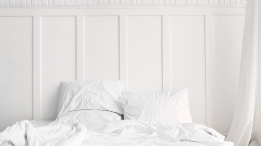 Punaises de lit : apr&egrave;s la psychose nationale, une r&eacute;ponse humaine et locale &agrave; Lyon