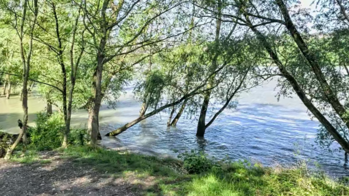 Villeurbanne : poignard&eacute; &agrave; plusieurs reprises, un homme entre la vie et la mort