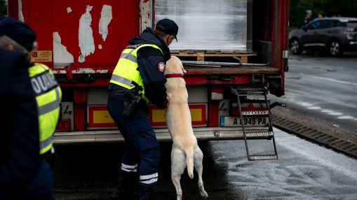 Sud de Lyon : derri&egrave;re sa cargaison de chips, les douaniers font une belle d&eacute;couverte sur l&rsquo;A7