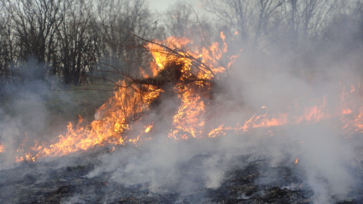 Incendies en s&eacute;rie dans la r&eacute;gion : plus de 130 pompiers mobilis&eacute;s sur un feu pr&egrave;s de Lyon