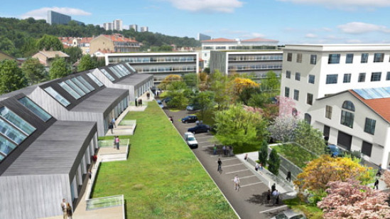 Greenopolis : Vaise au vert