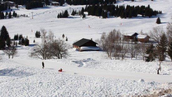 Trois Lyonnais grièvement blessés dans un accident de luge Trois Lyonnais grièvement blessés dans un accident de luge