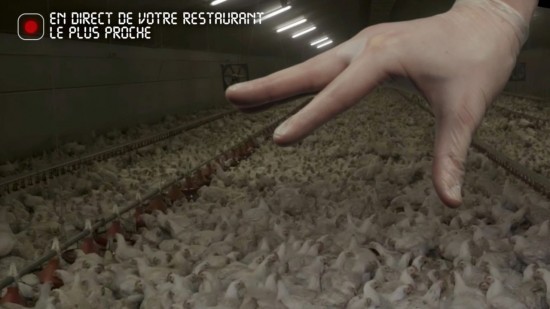 Lyon : L214 appelle à manifester ce samedi devant les restaurants Subway pour dénoncer les conditions d'élevage des poulets