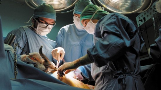 Double greffe des bras et des épaules à Lyon : "l’exploit lyonnais" salué par le président islandais