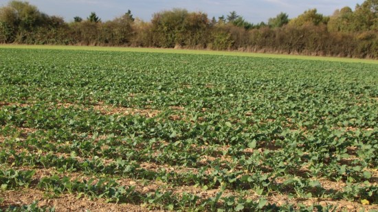 Près de Lyon : un camion de chantier volé et utilisé pour un rodéo dans des champs