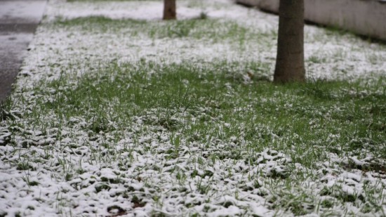 Météo à Lyon : le retour du froid (et peut-être de la neige) cette semaine !