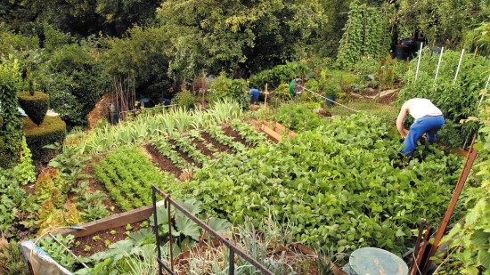 La Métropole de Lyon lance son plan compostage