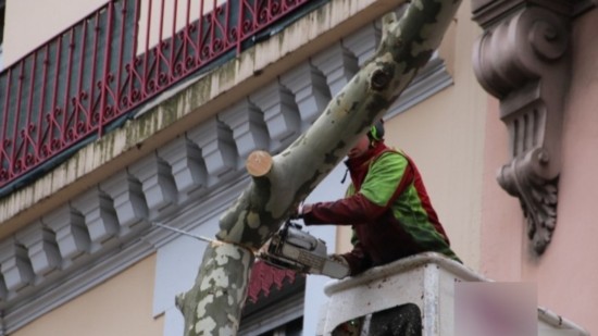 Près de Lyon : un élagueur hospitalisé après être tombé d'une nacelle