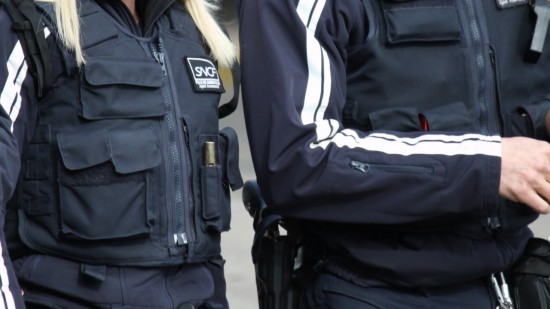 Près de Lyon : sans billet, il s’en prend aux policiers pour monter dans un train