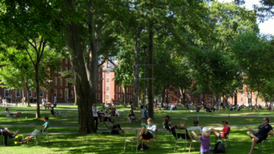 Moins de bureaux et de voitures, davantage d'arbres et de logements : à quoi va ressembler la Part-Dieu des écologistes dans 10 ans ?