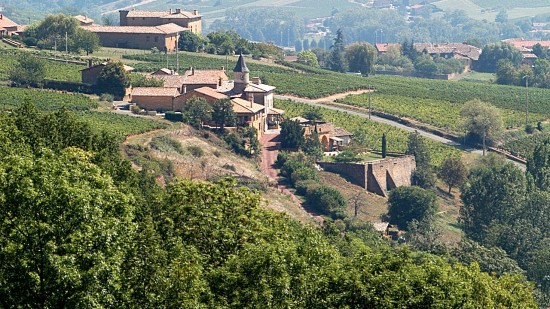 Bons vins, bonne bouffe et beaux domaines, le festival "Bienvenue en Beaujonomie" veut être "le lancement de l'après Covid"