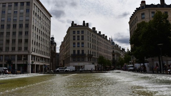 Lyon : simulation d’une scène de crime animale par l’association L124 ce samedi 