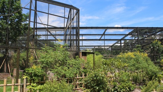 La Forêt d’Asie, symbole de l’avenir du zoo de la Tête d’Or à Lyon - PHOTOS