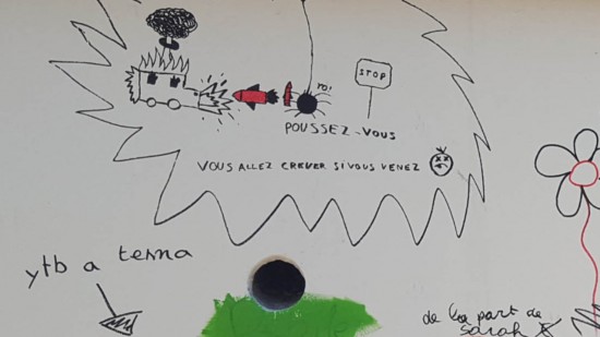 Lyon : des élus dénoncent des messages anti-voitures violents sur les fresques d'une école Lyon : des élus dénoncent des messages anti-voitures violents sur les fresques d'une école