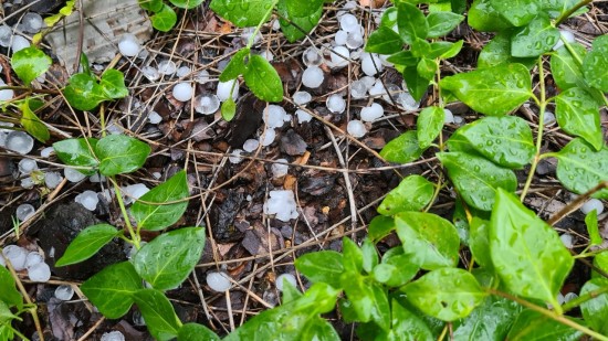 Lyon : un violent orage de grêle ce samedi soir