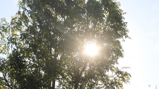 Météo à Lyon : soleil et chaleur de retour cette semaine dans le Rhône !