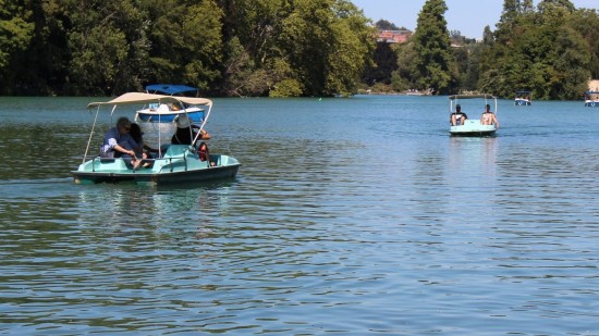 Lyon : un après-midi avec un chercheur du CNRS sur le lac de la Tête d'Or