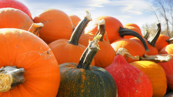 Le Mag des bons plans du week-end à Lyon (16 et 17 octobre)