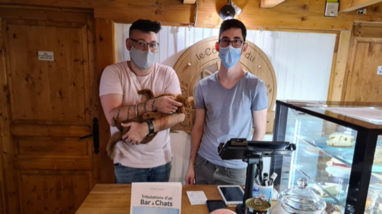 Lyon : après des insultes homophobes, les gérants du Gentlecat lancent un appel à témoins Lyon : après des insultes homophobes, les gérants du Gentlecat lancent un appel à témoins