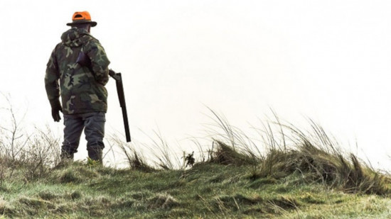 Près de Lyon : le chasseur rate le chevreuil et sectionne une ligne électrique