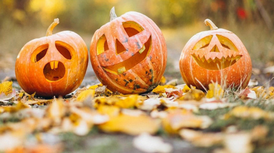 Le Mag des bons plans du week-end à Lyon (30 et 31 octobre)