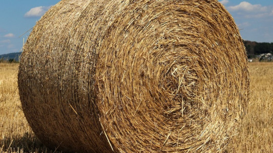 Près de Lyon : les habitants privés de communication téléphonique à cause… d’un camion transportant des bottes de paille