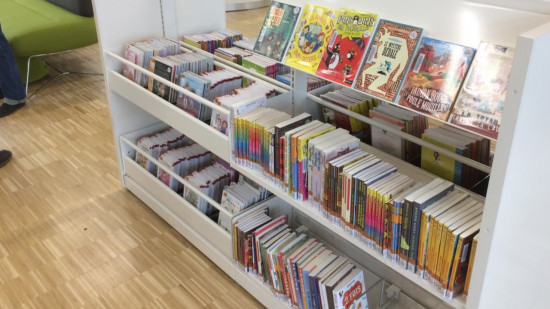 Pass sanitaire : le personnel des bibliothèques municipales de Lyon appelé à manifester