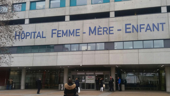 Près de Lyon : mordu au cou par un chien, un enfant de 2 ans hospitalisé à l'HFME de Bron