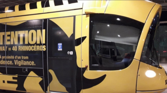 Flashs lumineux et charges de rhinocéros : des mesures pour éviter les accidents de tramways à Lyon