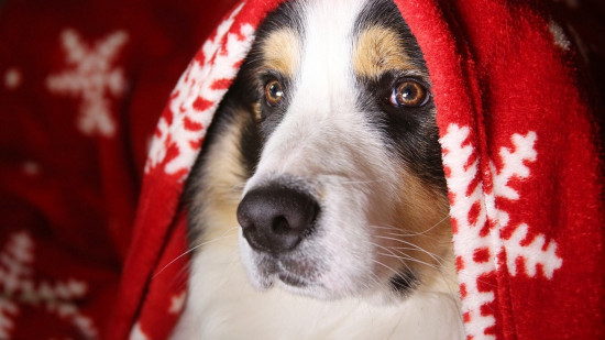 Le Mag des bons plans du week-end à Lyon (20 et 21 novembre)