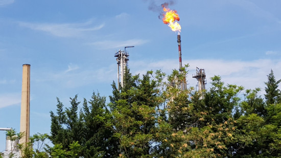 Après les expropriations, la Métropole de Lyon va implanter des forêts urbaines à Feyzin