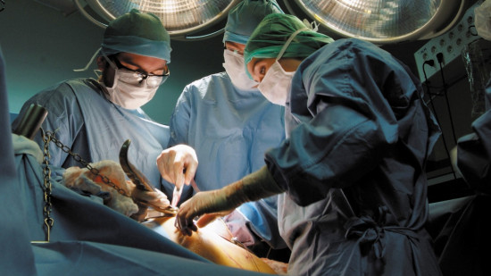 Covid-19 : l'ARS demande aux établissements de santé de Lyon et sa région de déprogrammer des opérations chirurgicales