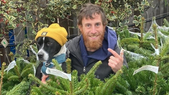 Lyon : la Société Protectrice des Végétaux propose de louer un sapin pour Noël !