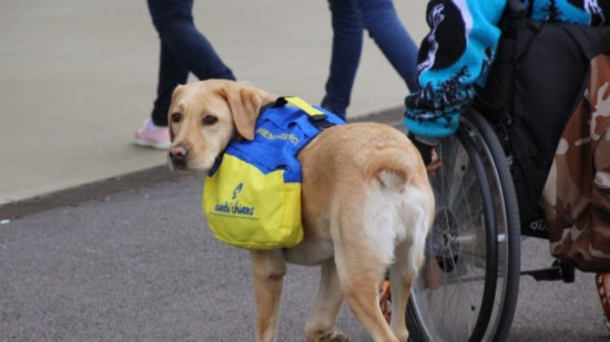 Un marché de Noël inclusif organisé à Lyon ce samedi