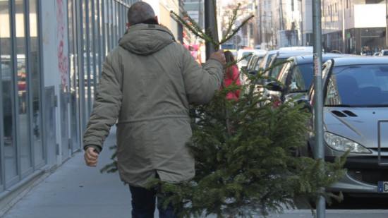 La collecte des sapins d&eacute;butera le 5 janvier dans la M&eacute;tropole de Lyon