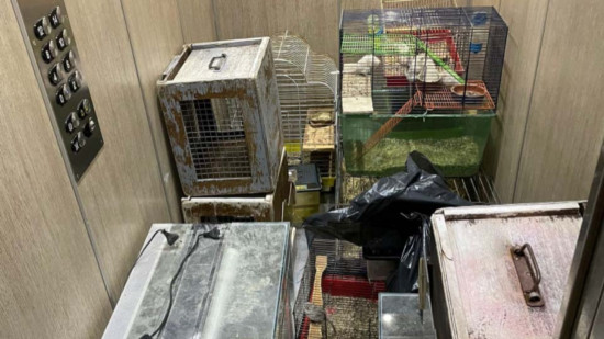 Près de Lyon : une vingtaine d’animaux sauvés dans un logement abandonné