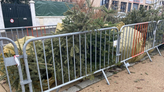 Se débarrasser de son sapin après les fêtes : la collecte de la Métropole de Lyon débute mercredi Se débarrasser de son sapin après les fêtes : la collecte de la Métropole de Lyon débute mercredi