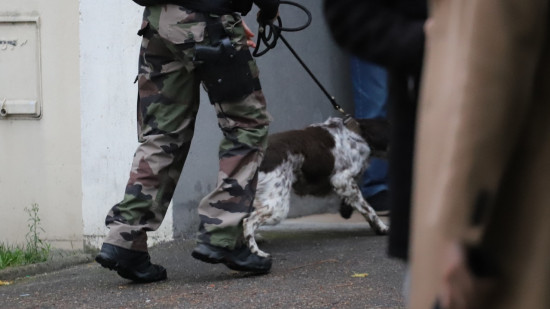 Près de Lyon : le corps d’une femme portée disparue retrouvé Près de Lyon : le corps d’une femme portée disparue retrouvé