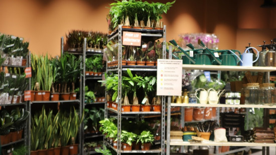 Lyon : une "grainothèque" s’installe dans le 1er arrondissement