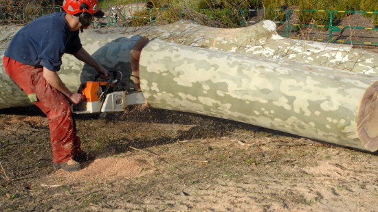 Près de Lyon : il coupe trois hectares sur une forêt privée du village voisin