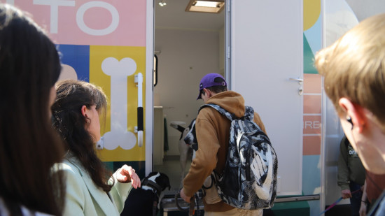 Lyon : le Balto, un camion itinérant pour donner des soins aux chiens des sans-abri